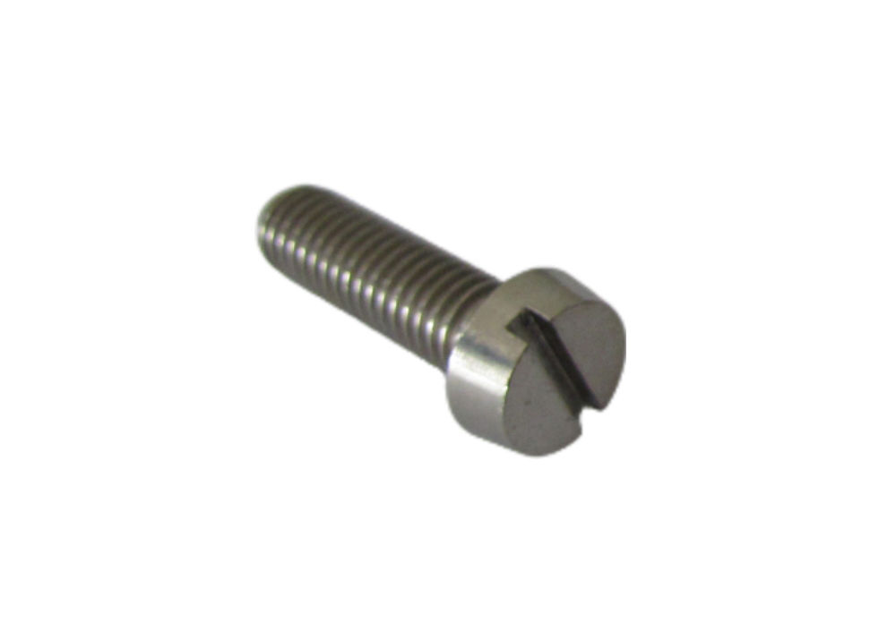 Customized Titanium Slotted Head Screws For Industrial